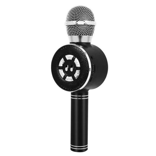 Wireless Karaoke Mic WS-669